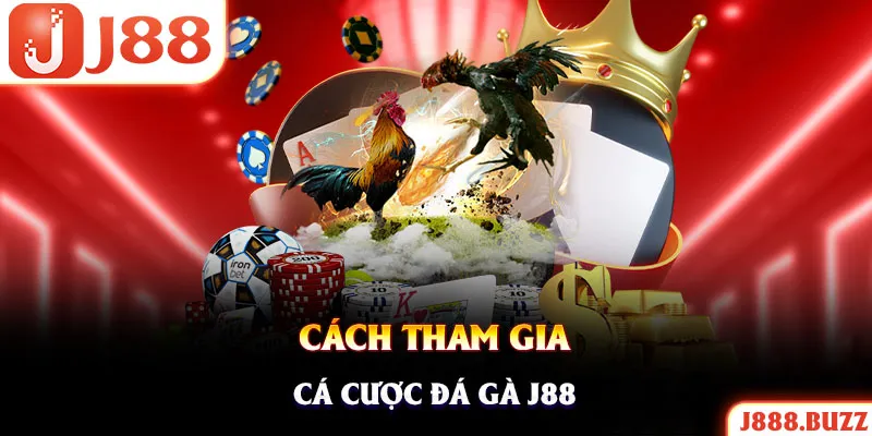 Bật mí quy trình trải nghiệm chơi kê trực tiếp tại nhà cái