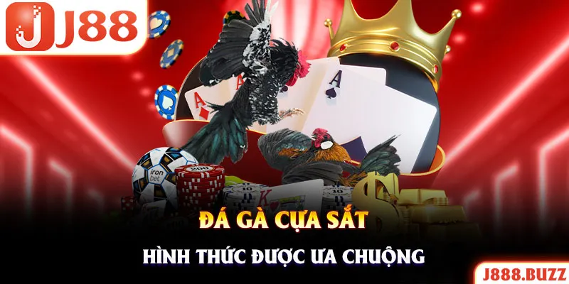Chọi kê cựa sắt là thể loại được ưa chuộng hàng đầu hiện nay