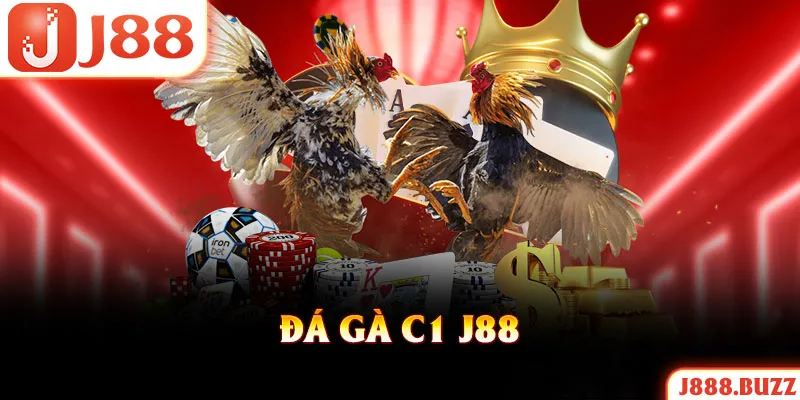 Đá Gà C1 J88 - Giải Đấu Chiến Kê Khốc Liệt Nhất Nhà Cái