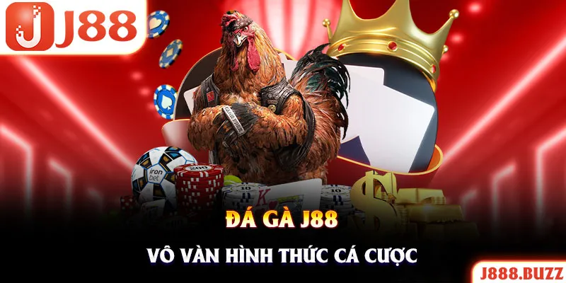 Đá gà nhà cái cung cấp vô vàn loại hình thú vị